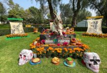 LA SECRETARÍA DE CULTURA DEL GOBIERNO DE MÉXICO CONMEMORARÁ EL DÍA DE MUERTOS CON UNA AMPLÍA CARTELERA